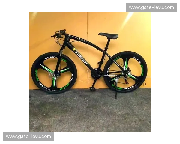 山地车数据:让每一次越野都更聪明、更好玩 山地车数据:让每一次越野都更聪明、更好玩